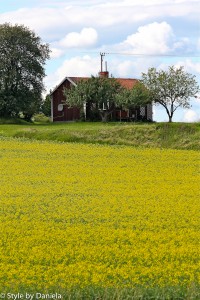 swedish countryside - style by daniela - italian fashion blog